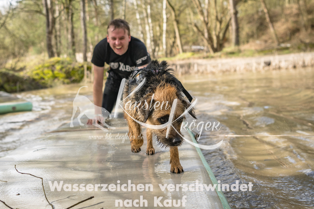 1003_ZZ92372 | kk-dogfotos