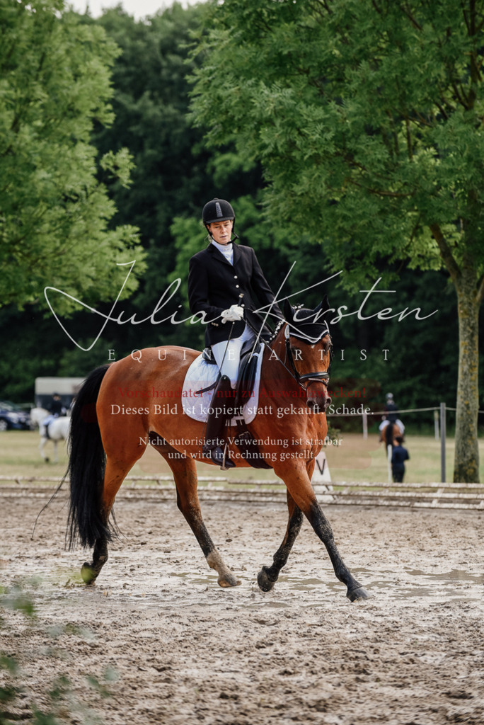 DSC_9744 | Pferde- und Turnierfotografie in Westsachsen. Pferdeportraits, Auftragszeichnungen und intuitive Kunst.