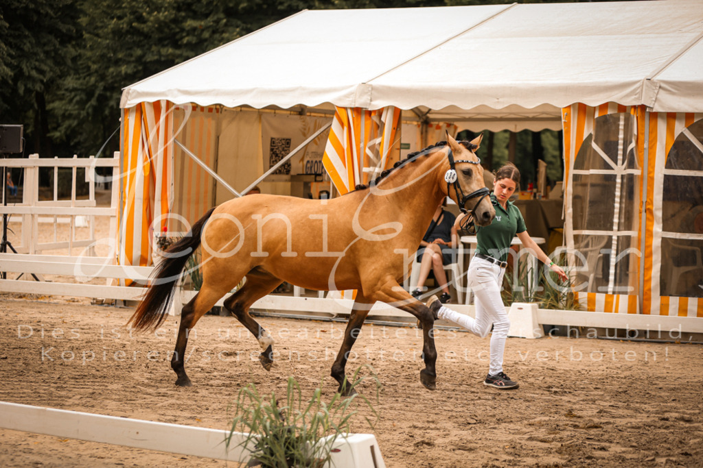 12.So00089 | Leoni Ertmer Photography - Realisiert mit Pictrs.com