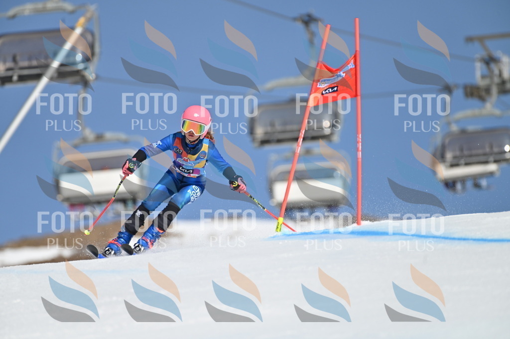 BGV_8211 | holidayphoto