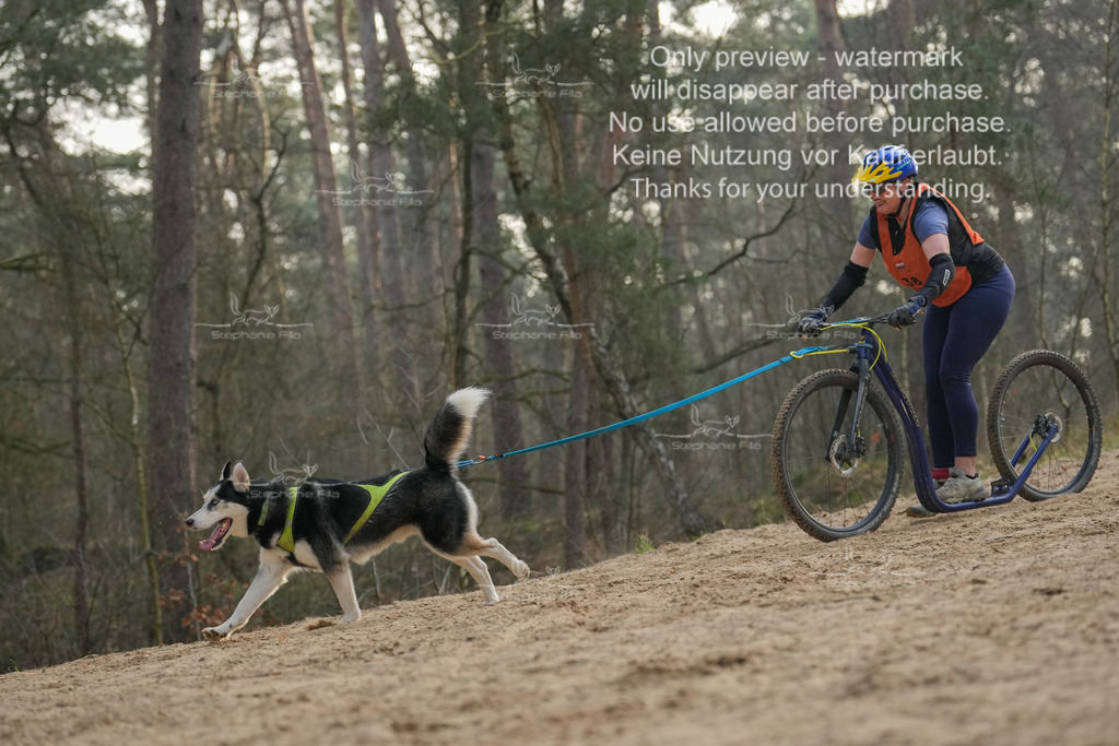 Scooter1-222 | stephaniefillaphotographie - Realisiert mit Pictrs.com