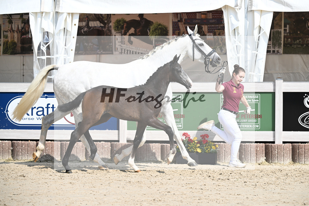 Esperanto x Boss Hoss_SF_Kraft_12250256 | hf-fotografie - Realisiert mit Pictrs.com