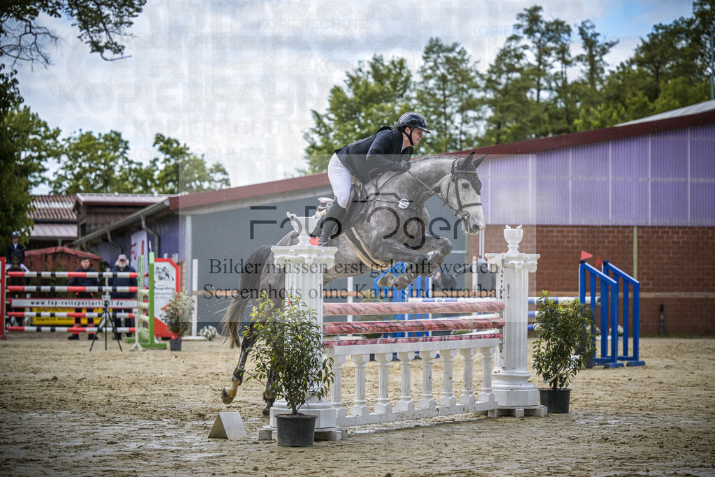 DOS_7498 | Entdecke hochwertige Reitturnierfotos von Foto Oger. Professionell, emotional und authentisch – jetzt Lieblingsmomente im Shop bestellen.Deutschlandweite Turnierfotografie. - Realisiert mit Pictrs.com