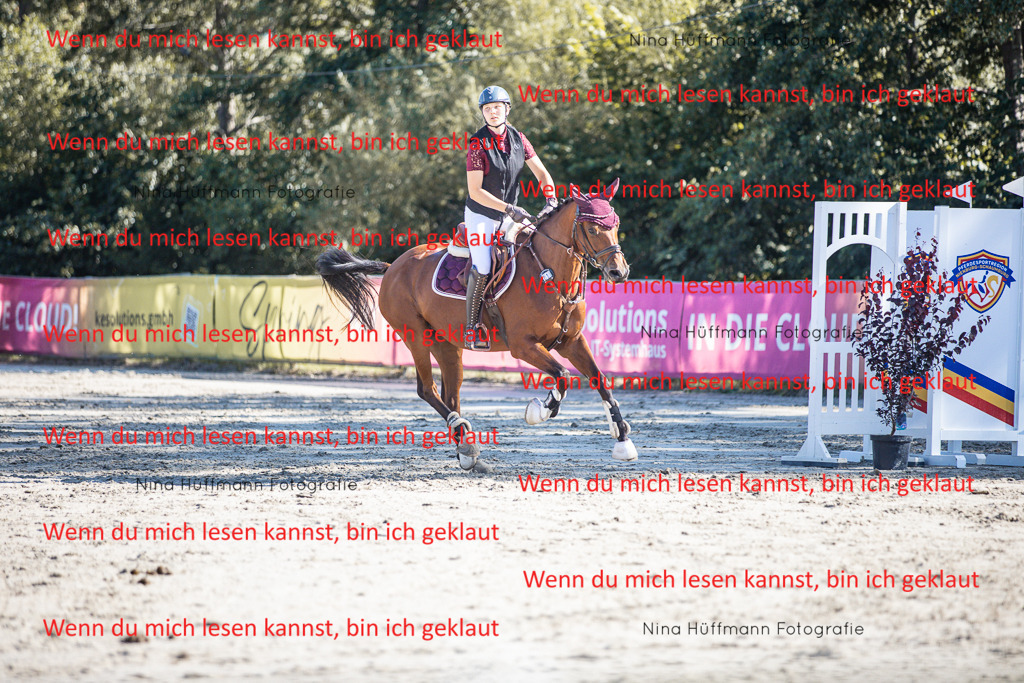 BK1A7230 | Turnierbilder Turnierfotos Nina Hüffmann Turnierfotografie Pferdefotografie Tierzeichnung Haustierzeichnung Pferdezeichnung Hundezeichnung Videograf  - Realisiert mit Pictrs.com