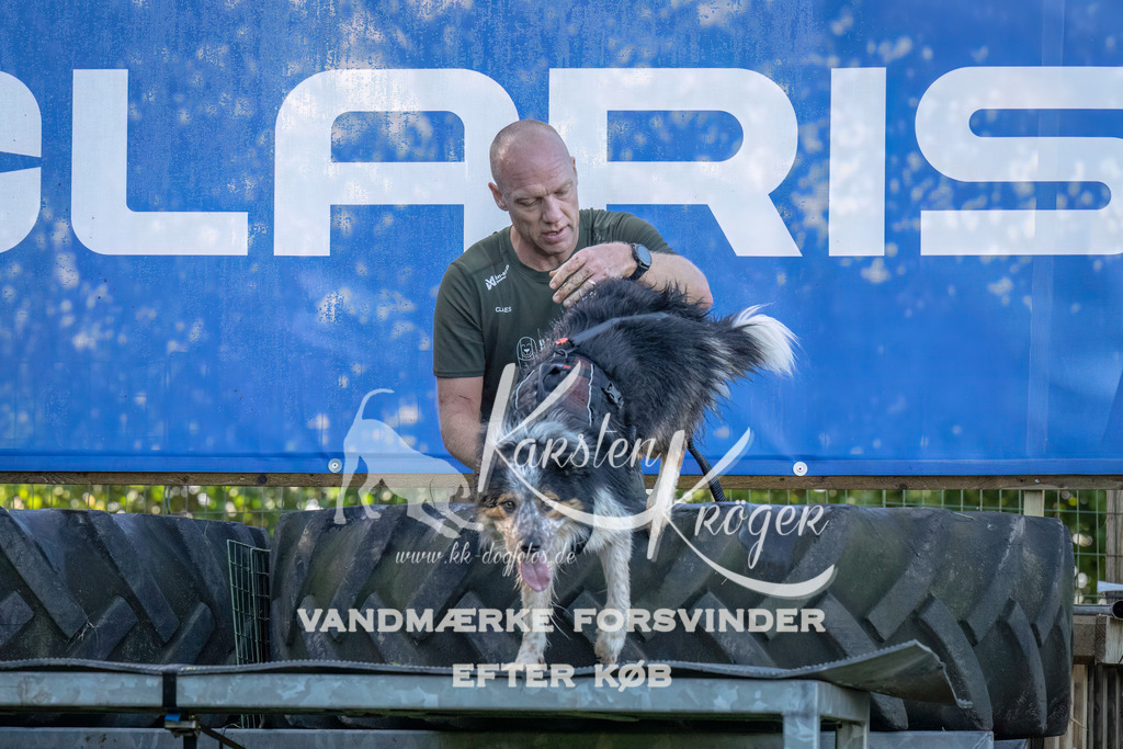 1038--7 | kk-dogfotos