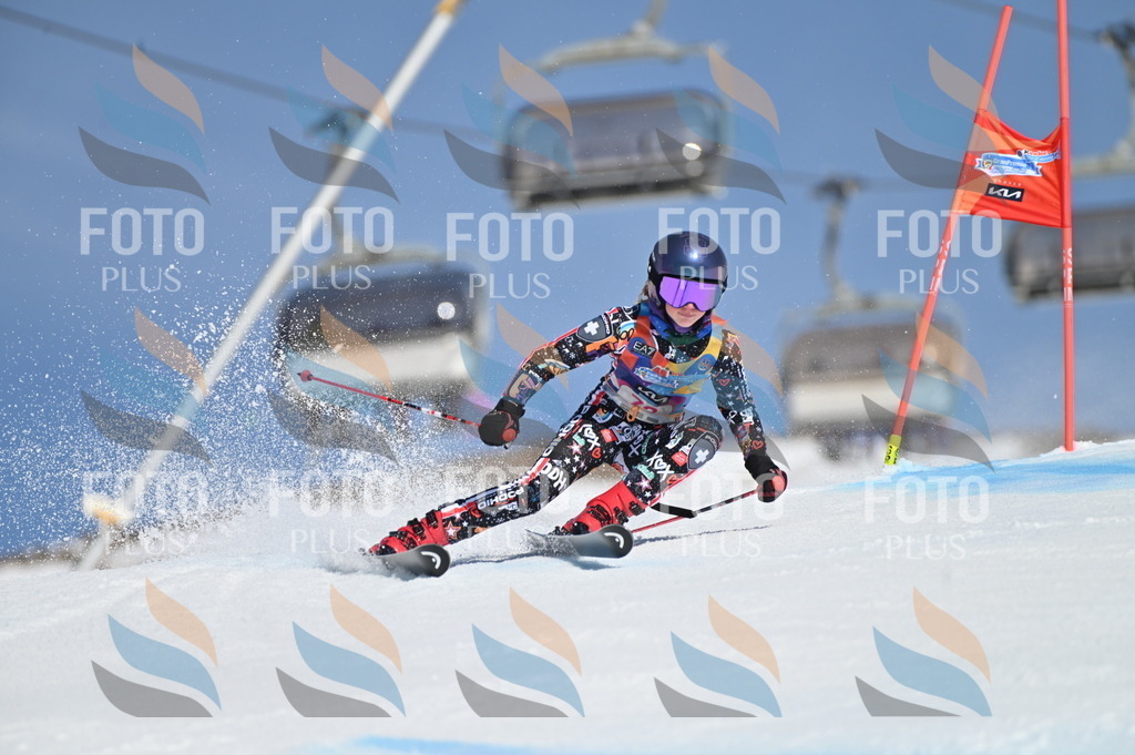 BGV_8956 | holidayphoto