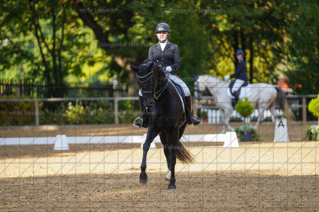 20221007-FAH00022 | Diessen am Ammersee, 2022, Dressur- und Springturnier, Reitsportbilder, Turnierfotografen Bayern, Pferdefotografen, Fotoagentur Herrmann, Turnierbilder