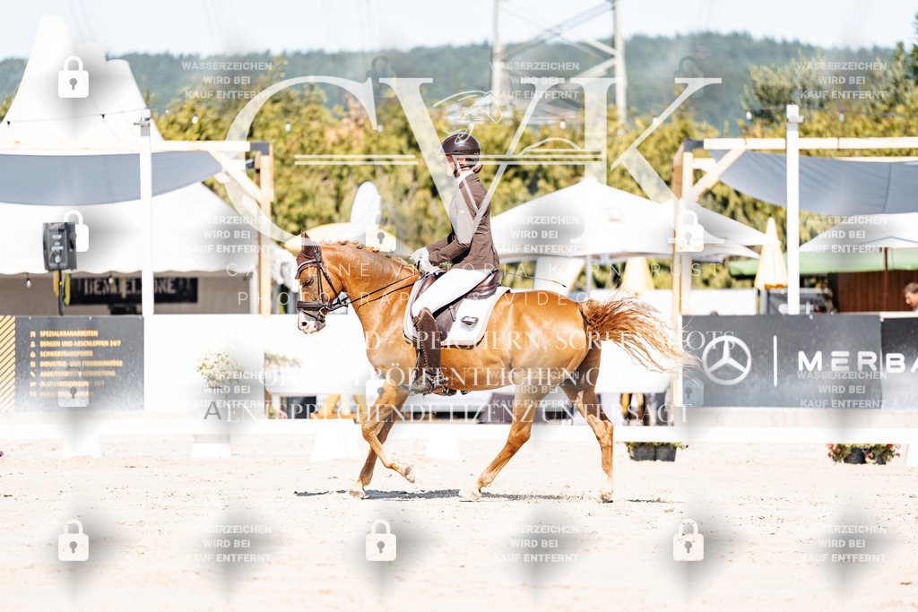 CK909036 | Turnierfotografie Pferdefotografie Trier Rheinland-Pfalz Pferdesport Reitsport Tierfotografie Sportfotografie Pferdevideo Pferdevideografie Equestrianvideography equestrianphotography  - Realisiert mit Pictrs.com