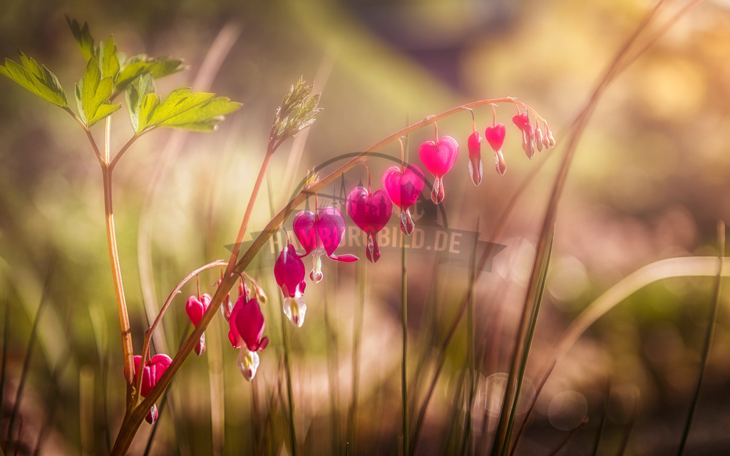 stativkunst-474 | Exklusive Hamburg collagen, tolle Segelbilder und viele weitere tolle Motive auf Leinwand, Poster, Alu-Dibond, u.v.m. findet Ihr bei uns auf hamburgbild.de. Findet Euer Wandbild für Euer Zuhause, Büro oder die  Praxis…. - Realisiert mit Pictrs.com