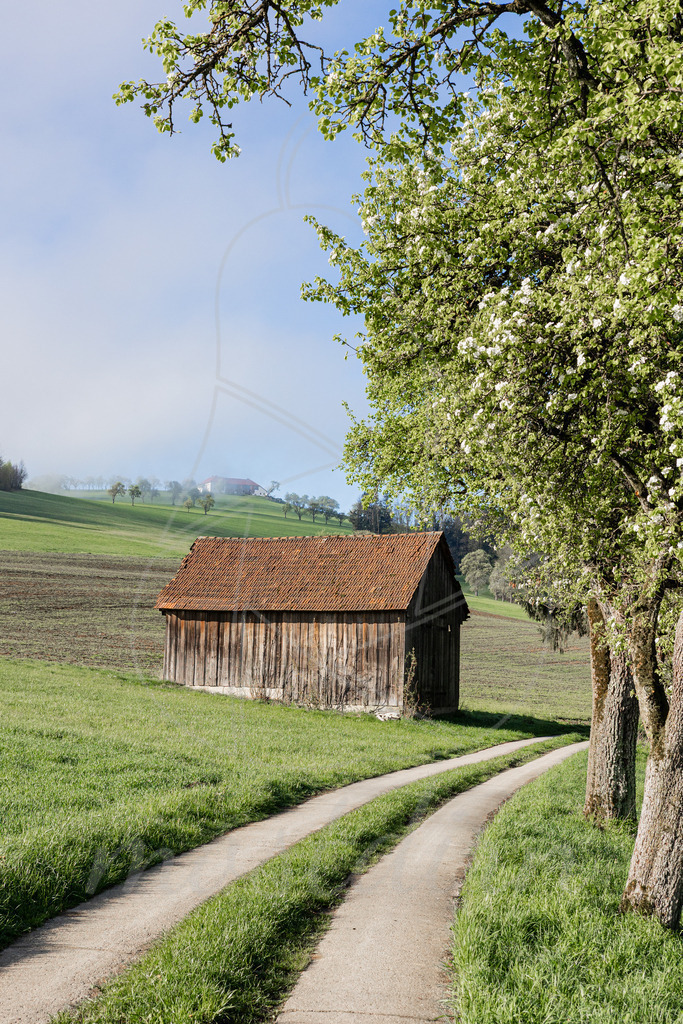 Die Hütte am Weg | Ihre Fotografin im Lungau, ihre Fotografin im Mostviertel, Wandbilder Onlineshop, Imagefotos für Ihr Unternehmen,  - Realisiert mit Pictrs.com