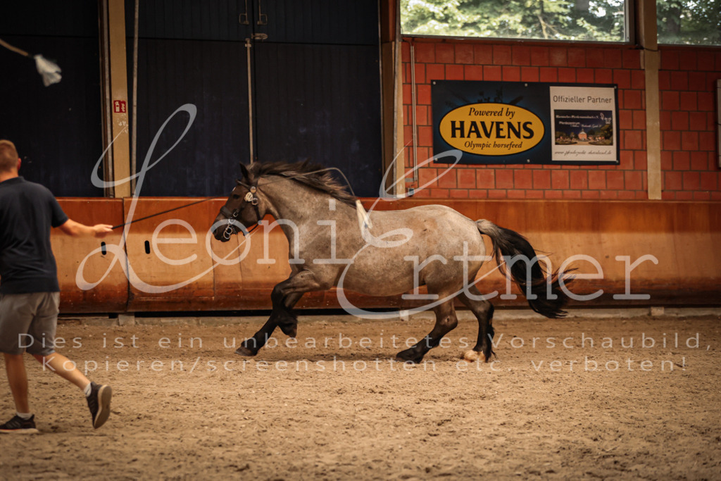 SaFL00339 | Leoni Ertmer Photography - Realisiert mit Pictrs.com