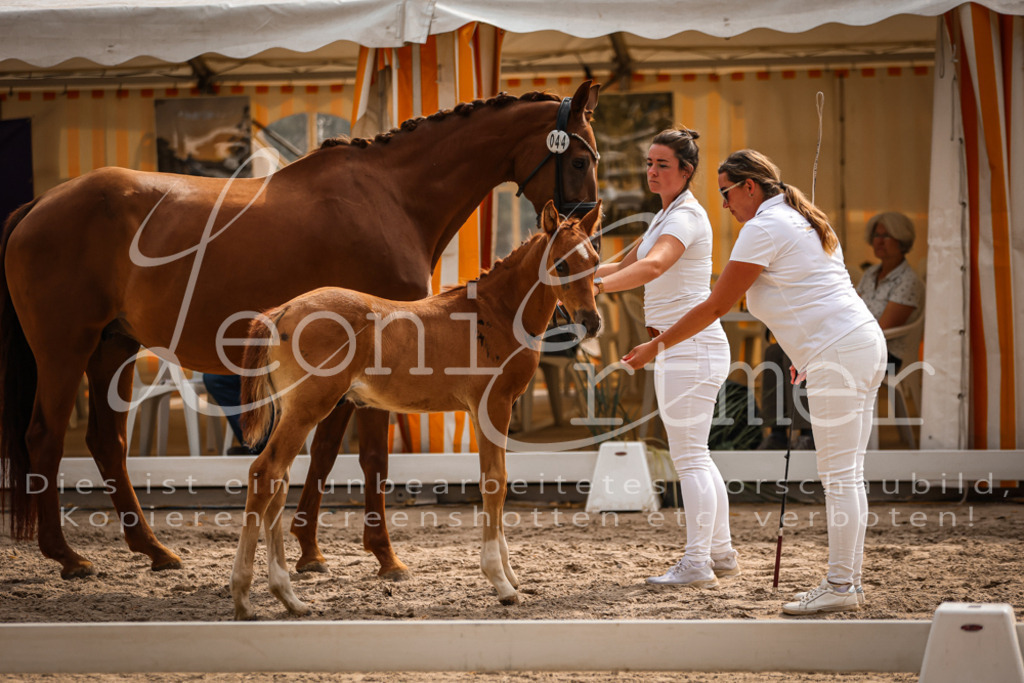 09.DoWBD00079 | Leoni Ertmer Photography - Realisiert mit Pictrs.com