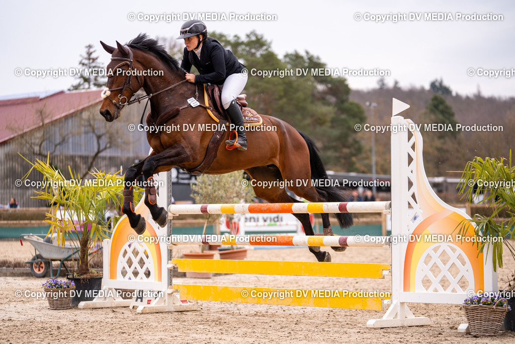 Kranichstein Tag 2-254 | dv-media-shop - Realisiert mit Pictrs.com