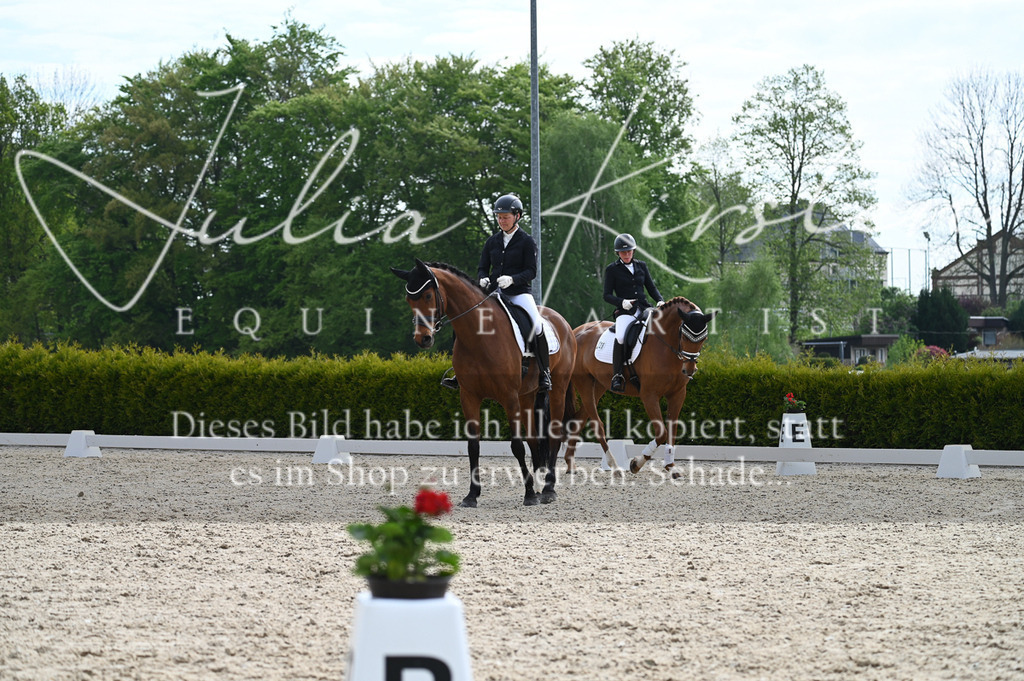 20230512_JK-Röhrsdorf-02-348 | Pferde- und Turnierfotografie in Westsachsen. Pferdeportraits, Auftragszeichnungen und intuitive Kunst.