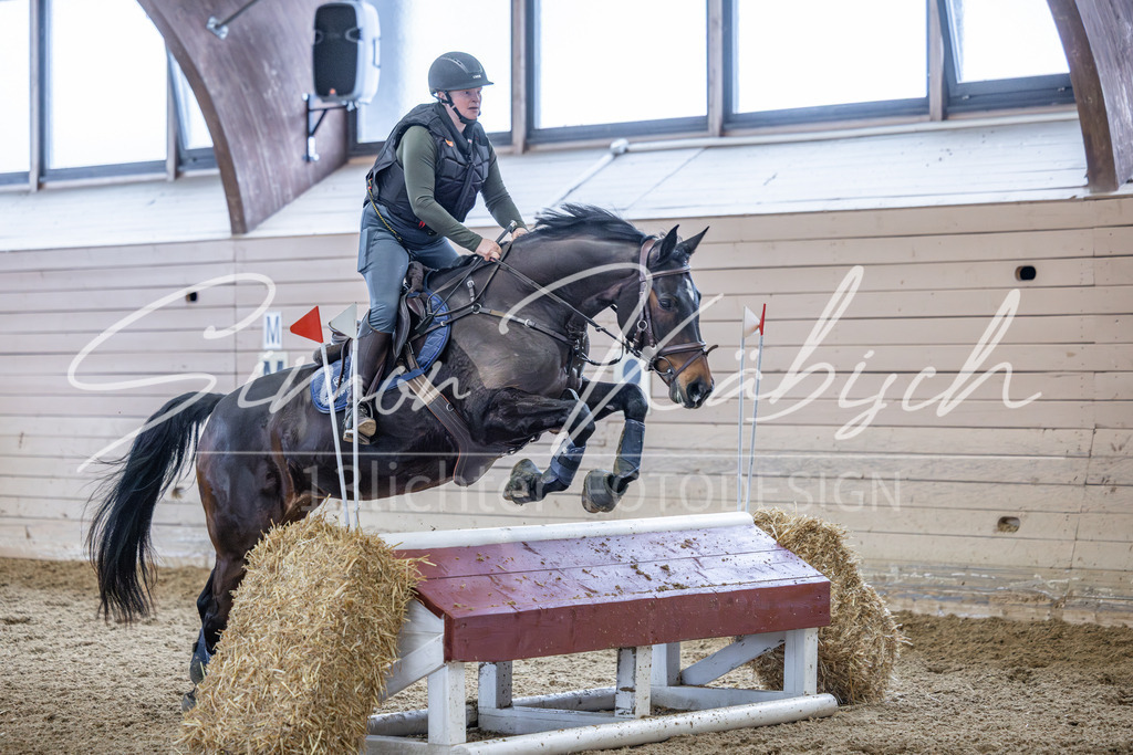 20260221-_3LI0139 | Tierfotografie Pferde, Hunde, Katzen, Haustiere.
Turnierfotografie Reitturniere, Reiten, Springreiten, Dressur in Hanau, dem Main-Kinzig-Kreis und dem Rhein-Main- Gebiet um Frankfurt