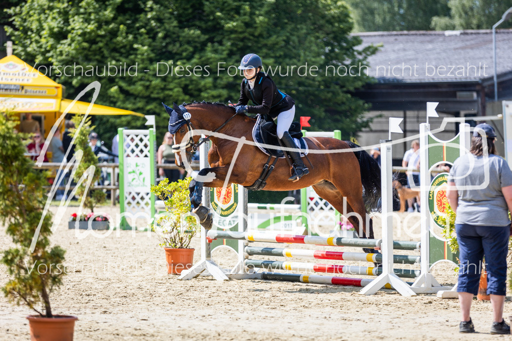 Donop24-SprRW-027 | MomenTaufnahmen Pferdesportfotos