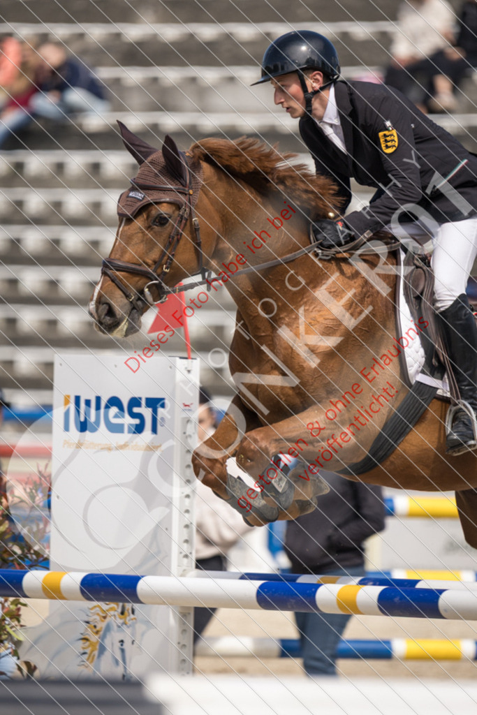 IMG_4907 | Sport-, Event- und Tierfotos in Profiqualität. Einfach auswählen, bestellen und herunterladen. Dein Moment – perfekt festgehalten.