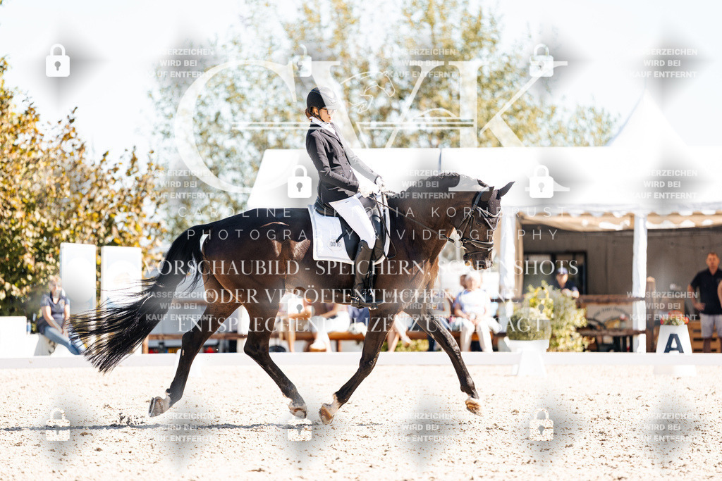 CK909374 | Turnierfotografie Pferdefotografie Trier Rheinland-Pfalz Pferdesport Reitsport Tierfotografie Sportfotografie Pferdevideo Pferdevideografie Equestrianvideography equestrianphotography  - Realisiert mit Pictrs.com