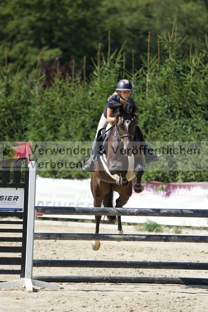 DSC01401 | equestrian-live-com