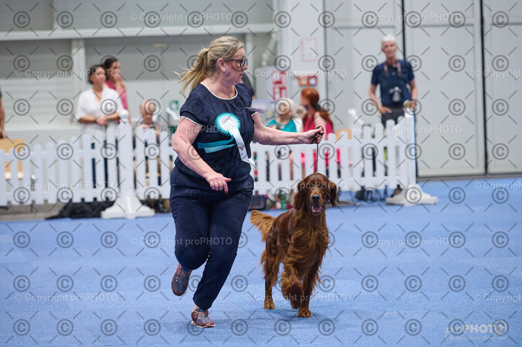 202406_ÖKV-IHA-Tulln24_DSC_3131 | proPHOTO - Realisiert mit Pictrs.com