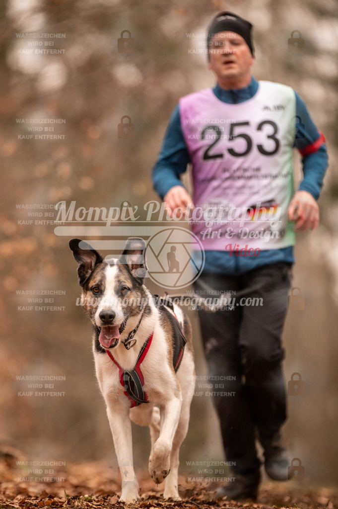 AKM_ST_2023_SAM_Run-152 | PayLife