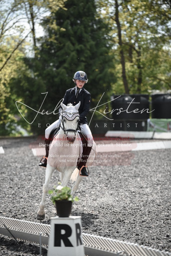 20230513_JK-Röhrsdorf-14-897 | Pferde- und Turnierfotografie in Westsachsen. Pferdeportraits, Auftragszeichnungen und intuitive Kunst.
