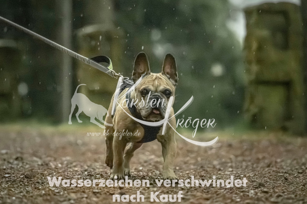 0836_ZZ92129 | kk-dogfotos