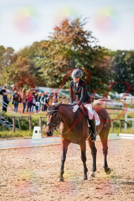 2026_10_03_Siefer-Hof_130544_Z63_69559211 | Professionelle Reitsport-, Turnier- und Eventfotografie von Robert Broda. Galerien mit ausgewählten und bearbeiteten Bildern direkt online ansehen und bestellen.