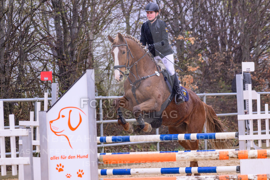 10042026-Mammendorf-Prfg14-0215 | Fokus Hufschlag Fotografie - Realisiert mit Pictrs.com