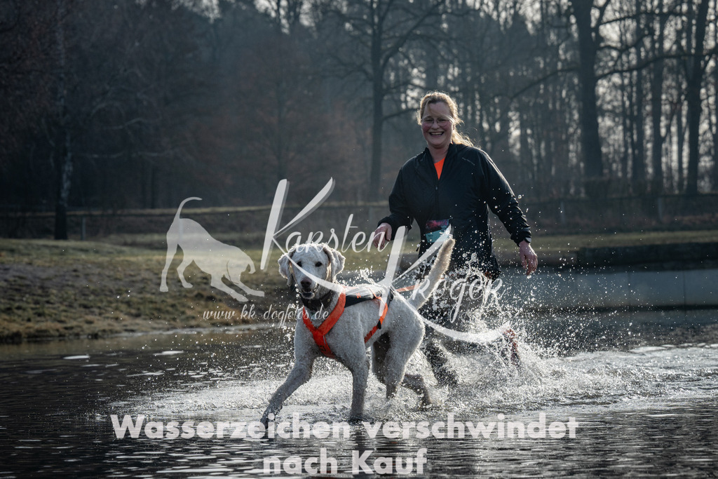 0856_ZZ99289 | kk-dogfotos