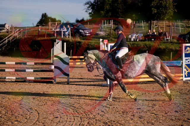 2026_10_03_Siefer-Hof_171400_Z81_11148253 | Professionelle Reitsport-, Turnier- und Eventfotografie von Robert Broda. Galerien mit ausgewählten und bearbeiteten Bildern direkt online ansehen und bestellen.