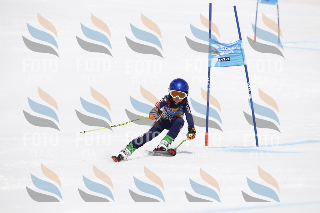 _U3G6694 | holidayphoto