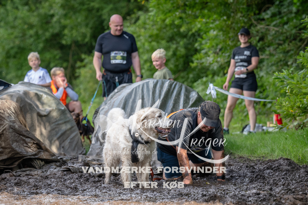 1647_ZZ94630 | kk-dogfotos