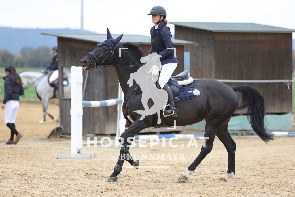 0P6A2948 | Willkommen bei Brunnmayr - Design & Fotografie – Ihrem Spezialisten für Reitturniere und Pferdeveranstaltungen in Oberösterreich, Salzburg und Bayern! Seit über 17 Jahren sind wir leidenschaftlich dabei.