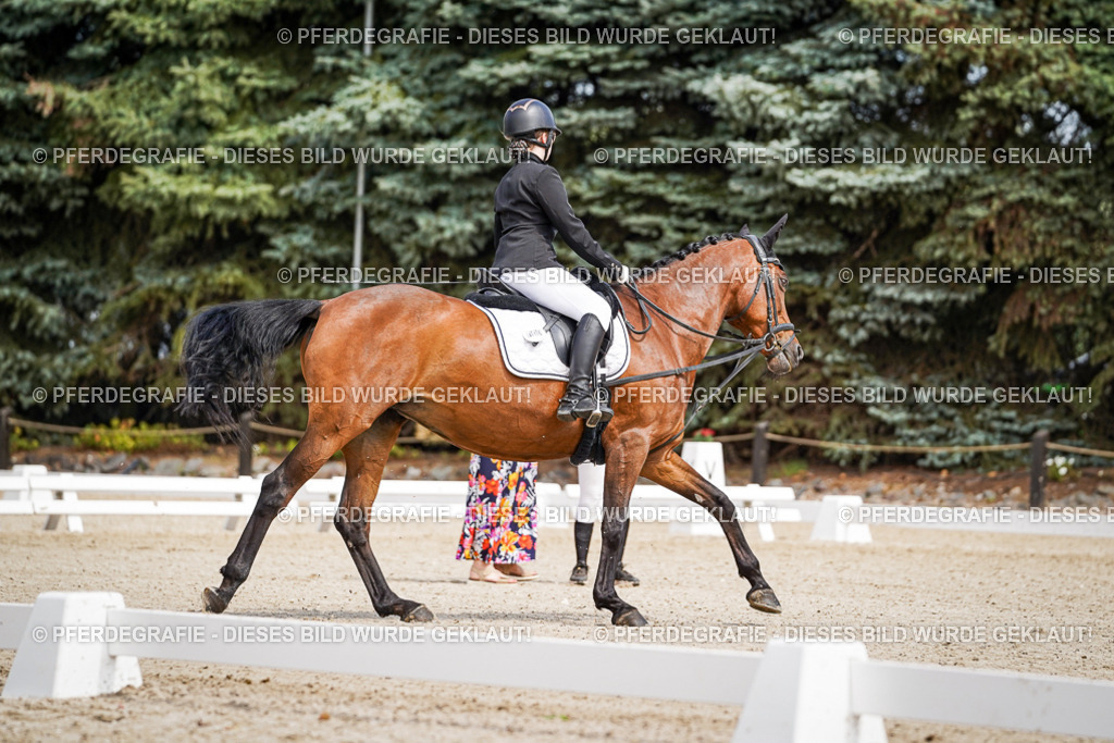 DSC02540 | Pferdegrafie