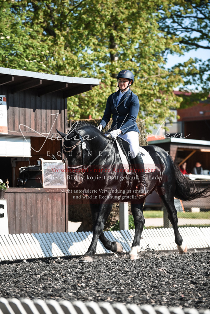 DSC_8502 | Pferde- und Turnierfotografie in Westsachsen. Pferdeportraits, Auftragszeichnungen und intuitive Kunst.