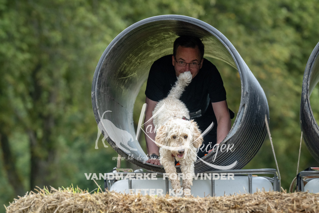 1129_ZZ94361 | kk-dogfotos