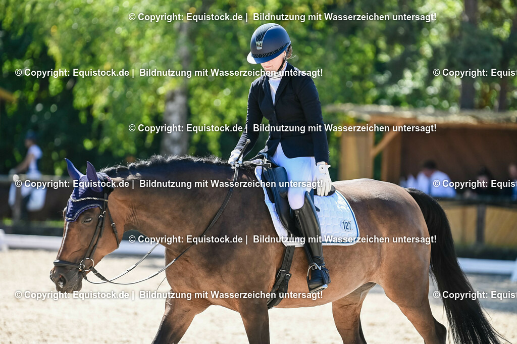 20230908_06_Dressur-L-Trense_0502 | equistock
