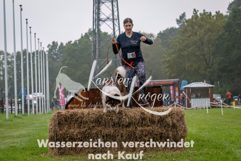 1001--10 | kk-dogfotos