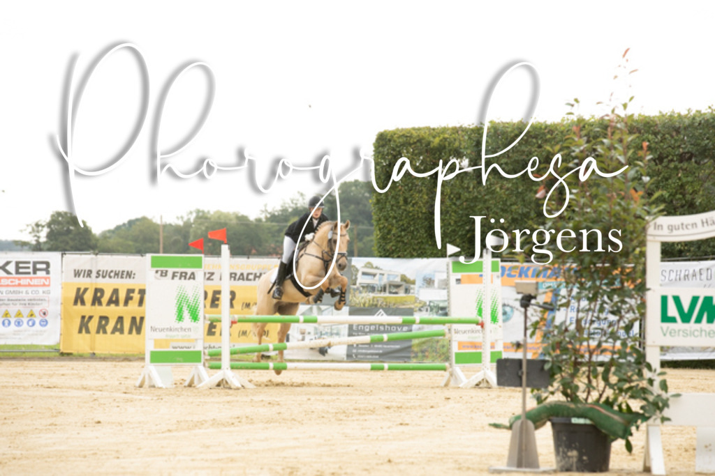 IMG_6542 | photographesa-joergens - Realisiert mit Pictrs.com