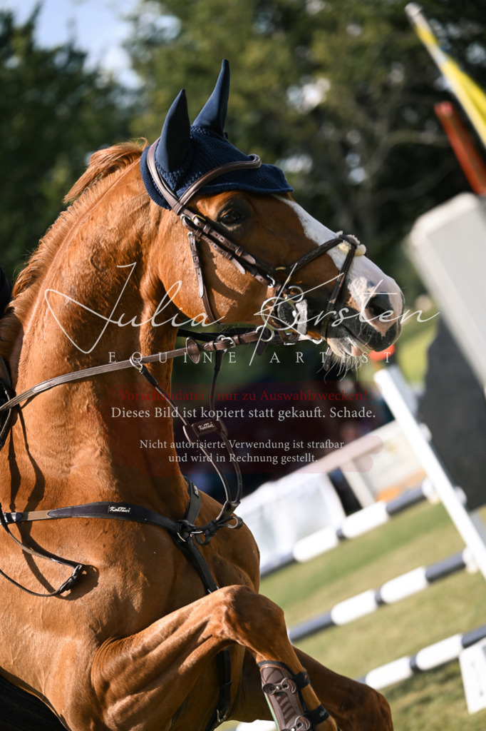 DSC_1223 | Pferde- und Turnierfotografie in Westsachsen. Pferdeportraits, Auftragszeichnungen und intuitive Kunst.