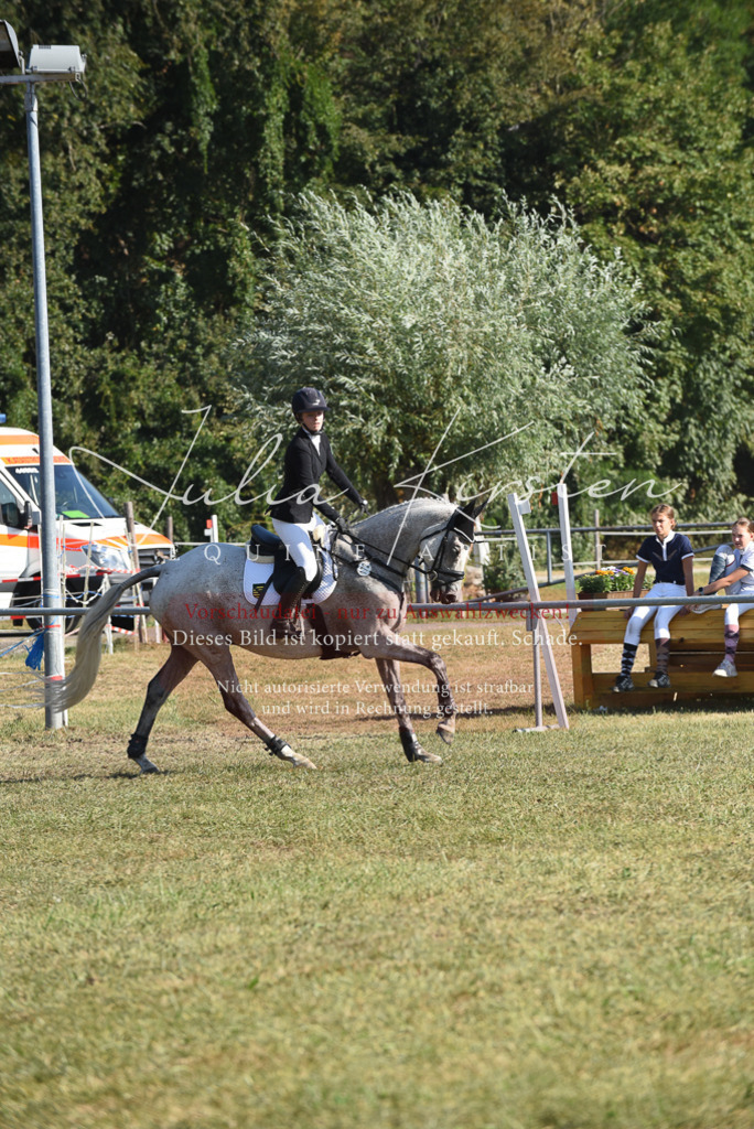 DSC_5275 | Pferde- und Turnierfotografie in Westsachsen. Pferdeportraits, Auftragszeichnungen und intuitive Kunst.