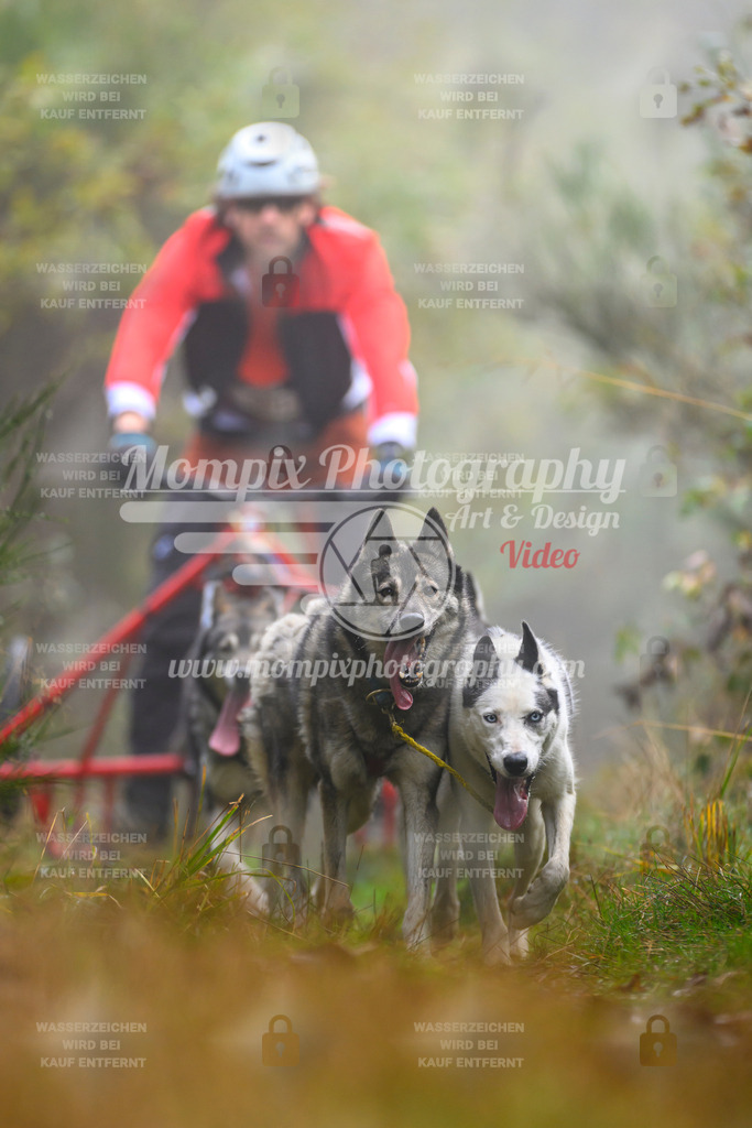 MompixPhotography_20TSB_E4_Kart-23 | PayLife
