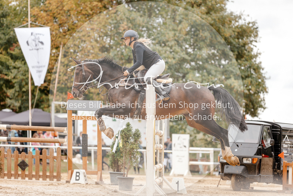 3I6A8575 | Stimmungsvolle Portraits und Reitsportfotografie im Ruhrgebiet und im Münsterland.

Pferdefotografie, Hundefotografie, Tierfotografie, Reportagen, Portraits von Tier und Mensch, Turnierfotografie in Bochum, Recklinghausen, Marl, Haltern am See, Dülmen.. - Realisiert mit Pictrs.com