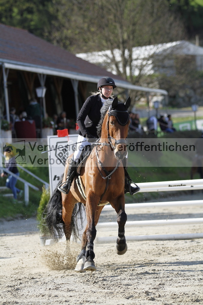 _MG_8302 | equestrian-live-com