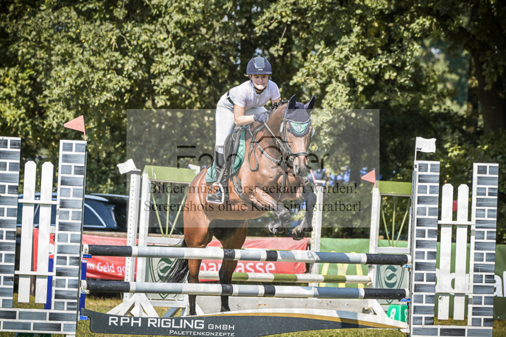 DOS_0186 | Entdecke hochwertige Reitturnierfotos von Foto Oger. Professionell, emotional und authentisch – jetzt Lieblingsmomente im Shop bestellen.Deutschlandweite Turnierfotografie. - Realisiert mit Pictrs.com