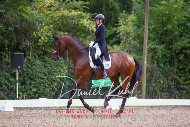 DKP41371 | Turniersportfotografie; Pferdefotografie; Dressurfotografie