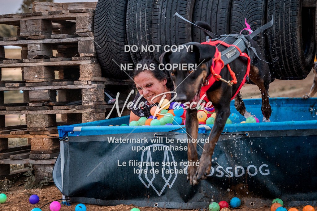 nelerasche_SummerNights26-Sa2000-2100_136 | nelerasche