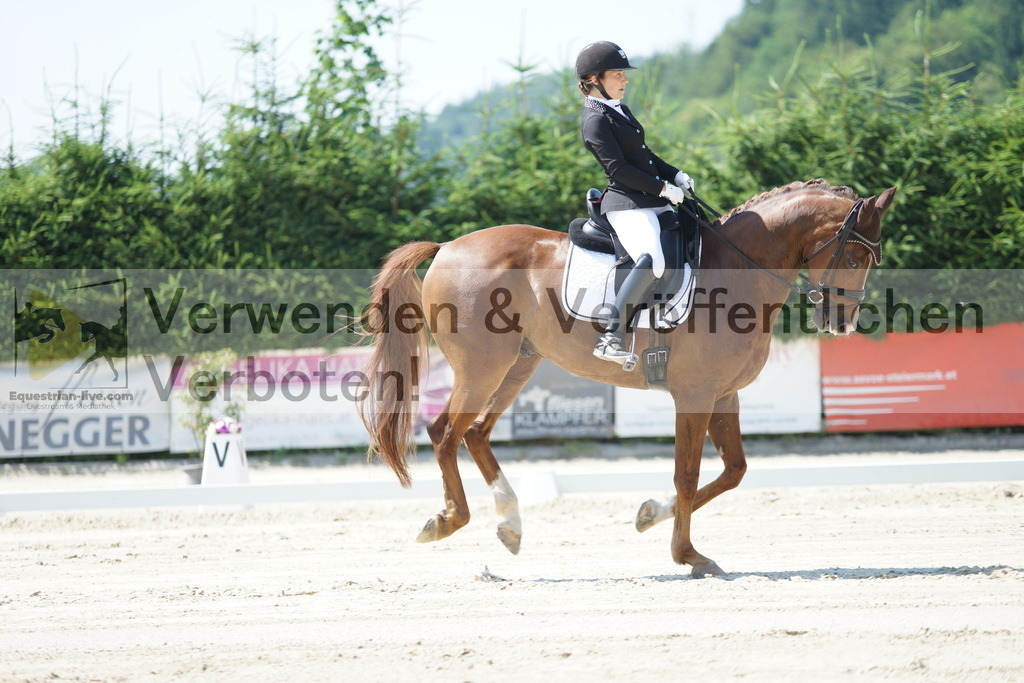 DSC02297 | equestrian-live-com