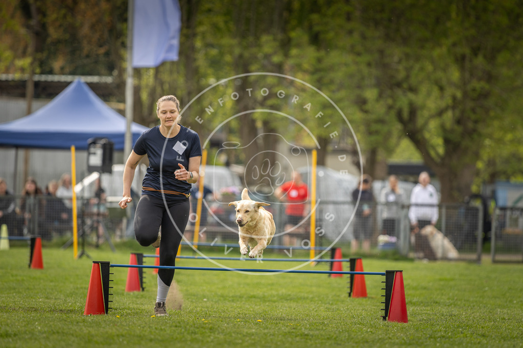 Pfotenfotografie_DV3A5816 | Hundefotografie, Tierfotograf, Pfotenfotografie, Fotoshooting Hund, Hunde Portrait, Hundesport, Hundeportraits, Heideshooting, Hunde, Sportfotograf, Hundefotograf, Turnierhundsport, THS,  - Realisiert mit Pictrs.com